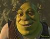 Shrek - wallpaper preview