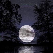 moon - wallpaper preview