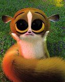 Madagascar - wallpaper preview