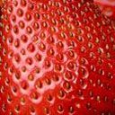 strawberry - wallpaper preview