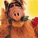 Alf - wallpaper preview