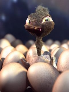 Chick - wallpaper preview