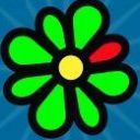 ICQ - wallpaper preview