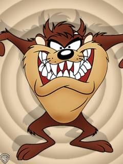 - - wallpaper preview