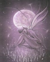 - - wallpaper preview