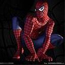 Spiderman - wallpaper preview