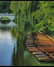 - - wallpaper preview