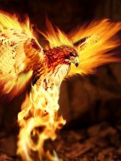 - - wallpaper preview