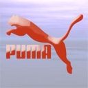Puma - wallpaper preview