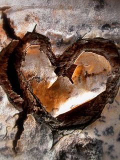 - - wallpaper preview