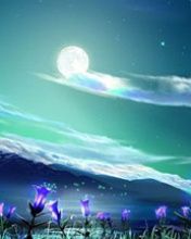 - - wallpaper preview