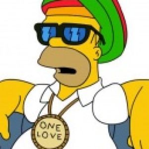 The Simpsons Family