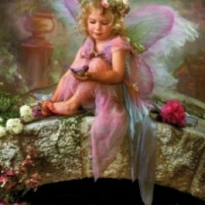 Little Butterfly