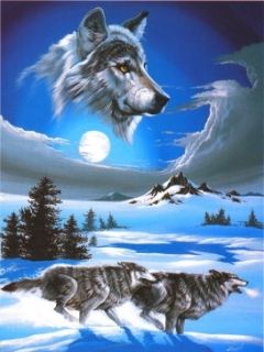 Wolf - wallpaper preview