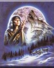 Wolf - wallpaper preview