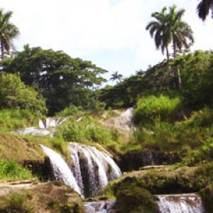 Cuba el Nicho
