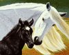 horse - wallpaper preview