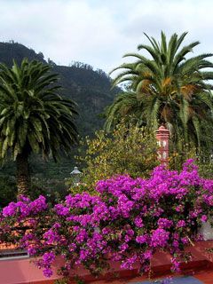 Madeira - wallpaper preview