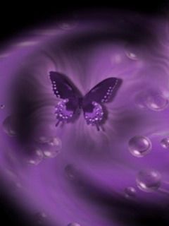 buterfly - wallpaper preview