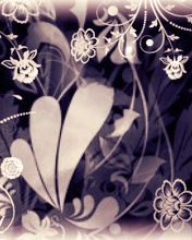 - - wallpaper preview
