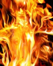 - - wallpaper preview