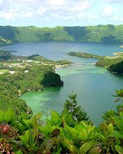 - - wallpaper preview