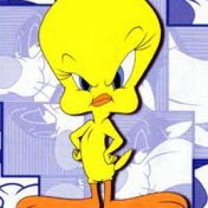 naĹˇtvanĂˇ tweety 