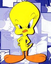 naĹˇtvanĂˇ tweety  - wallpaper preview