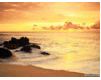 plage - wallpaper preview