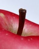 Apple - wallpaper preview