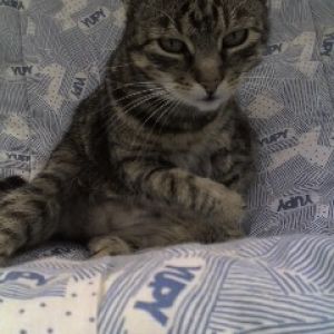 Micka