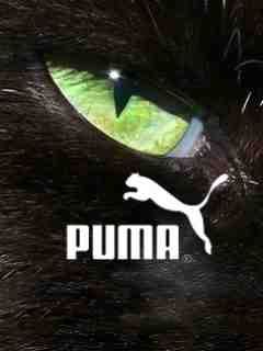 Puma - wallpaper preview