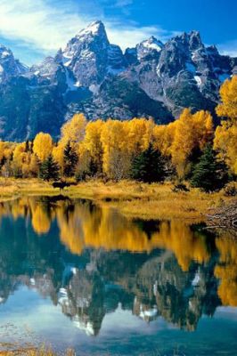 - - wallpaper preview