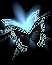 Butterfly - wallpaper preview