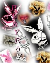 Playboy - wallpaper preview
