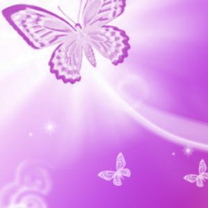 Pink Butterflyes