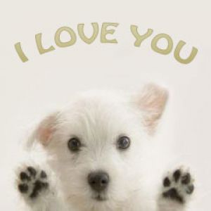 I Love You