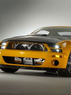 - - wallpaper preview