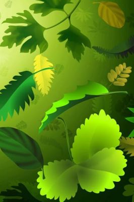 - - wallpaper preview