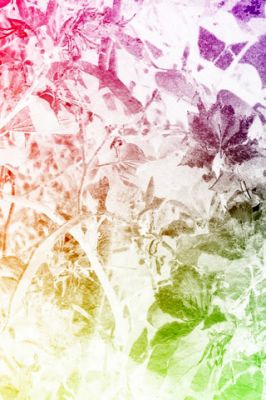- - wallpaper preview