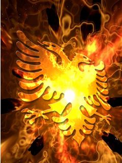 - - wallpaper preview