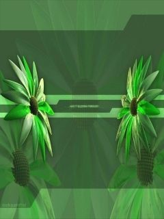 - - wallpaper preview