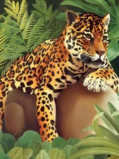 - - wallpaper preview