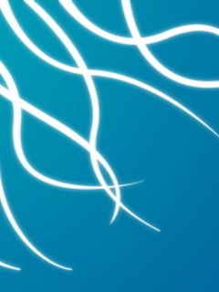 - - wallpaper preview