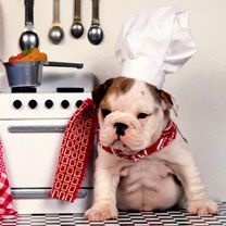 Master Chef - wallpaper preview