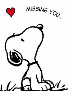 Snoopy - wallpaper preview