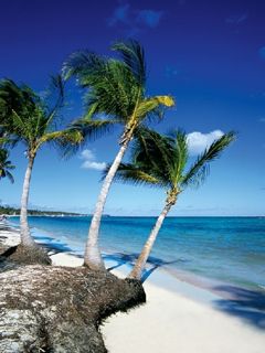 Punta Cana - wallpaper preview