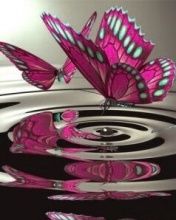 Butterfly - wallpaper preview