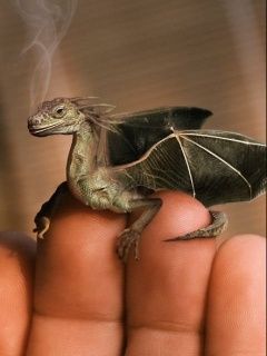 - - wallpaper preview