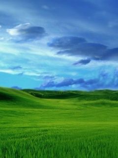 Windows Vista - wallpaper preview